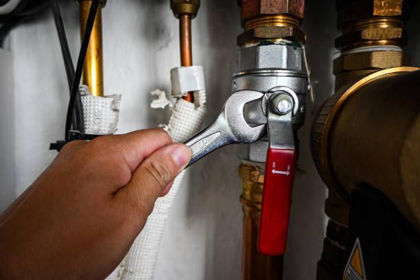 Best Same-Day Plumbing Service  in Wanatah, IN